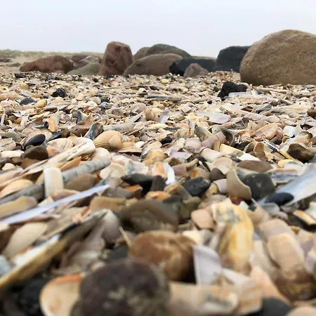 Charming Family Retreat-by Traum Blåvand