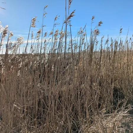 Casa vacanze Charming Family Retreat-by Traum