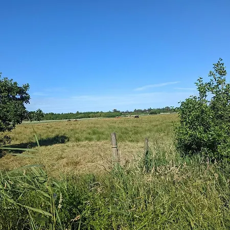 Casa vacanze Charming Family Retreat-by Traum Blåvand