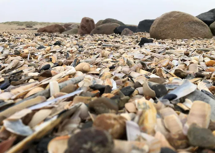 Charming Family Retreat-by Traum Blåvand