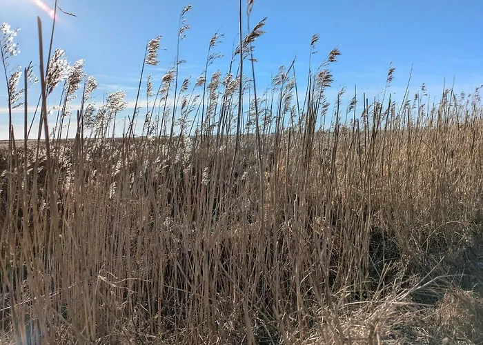 Feriehus Charming Family Retreat-by Traum