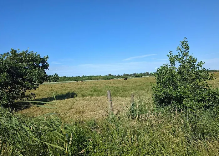 Feriehus Charming Family Retreat-by Traum Blåvand